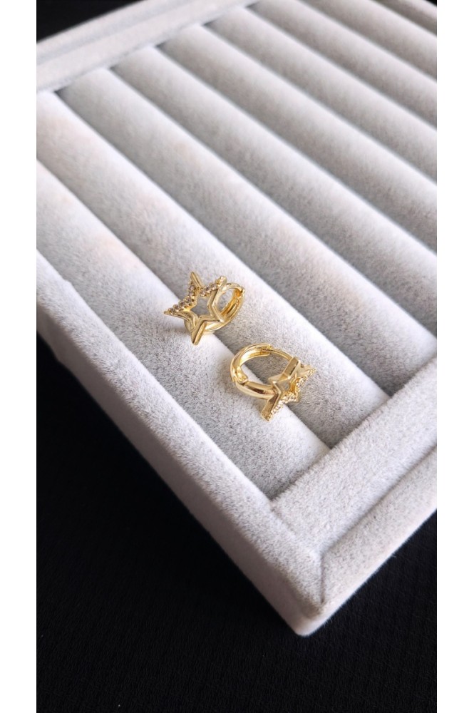 VIP Yıldız Model küpe